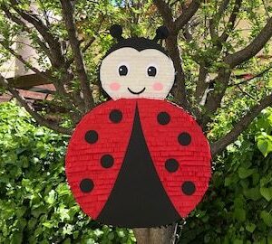 Χειροποίητη Πασχαλίτσα (Ladybug) - Διακοσμητική ή Πινιάτα για Πάρτυ